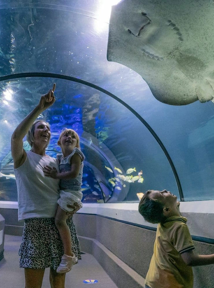 Discover the best things to do in Mooloolaba, from beaches to dining, all close to First Light Mooloolaba's self-contained apartments.